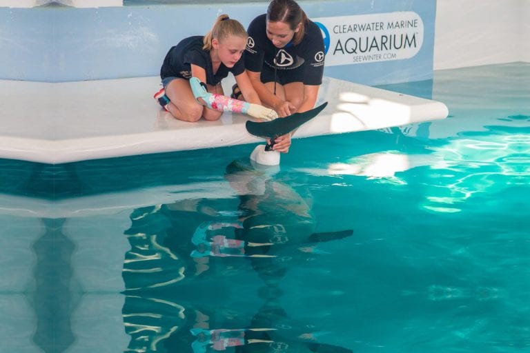 Inspirational girl with prosthetic arm touching Winter's tail