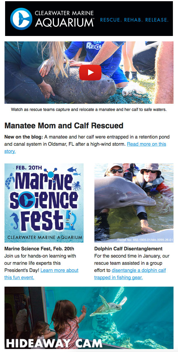 Newsletter Signup Clearwater Marine Aquarium