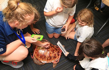 After School Programs