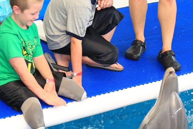 Inspirational boys meeting dolphin