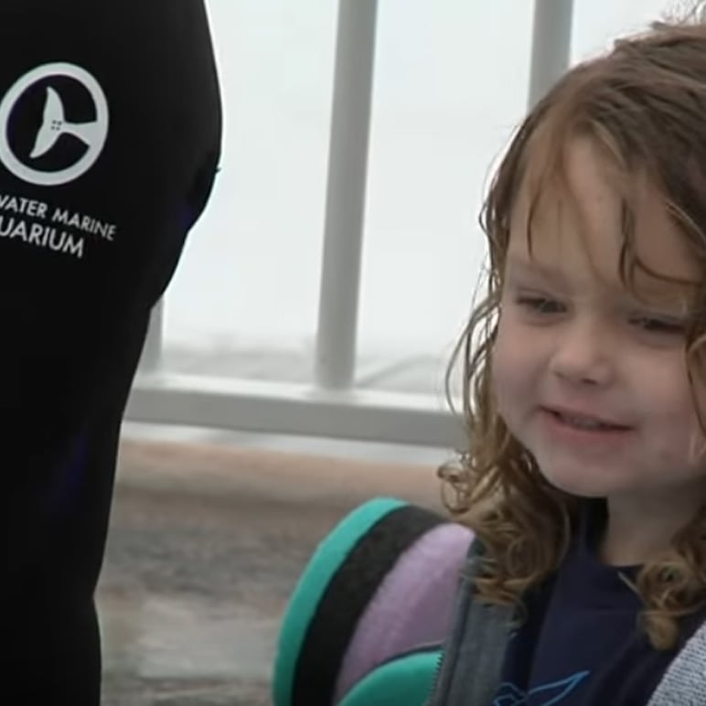 Inspirational little boy meeting dolphins