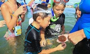 Group Snorkel