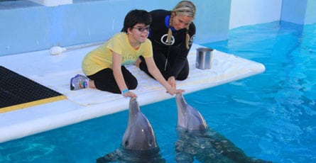 Claudia Dopico meeting dolphins at Clearwater Marine Aquarium