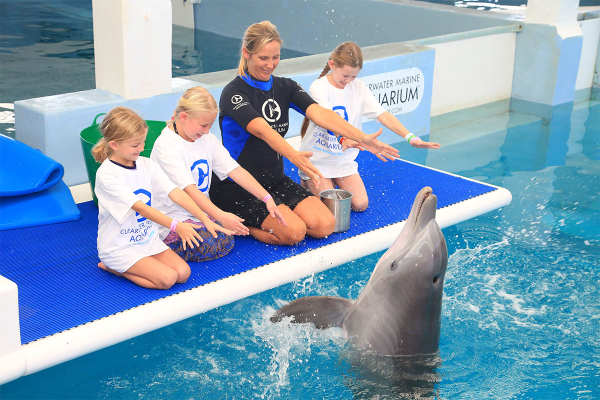 Tickets, Tours and Programs | Clearwater Marine Aquarium