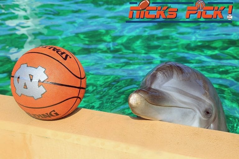 nick's picks dolphin basketball prediction