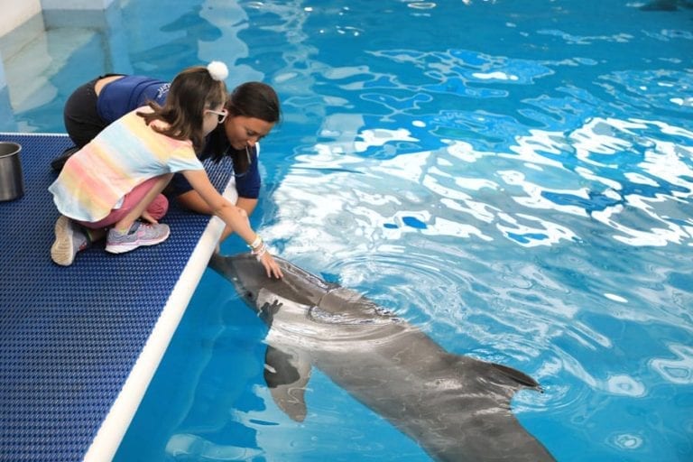 Blind girl meets dolphins