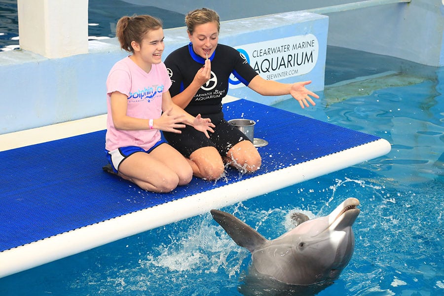 Meghan and trainer with dolphin