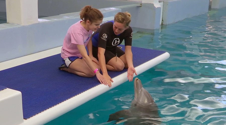 Meghan meeting dolphin