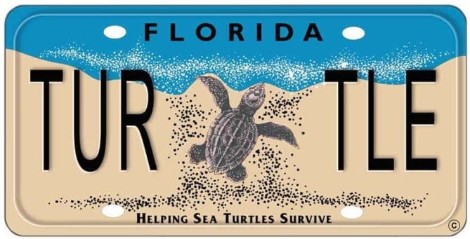 sea turtle license plate