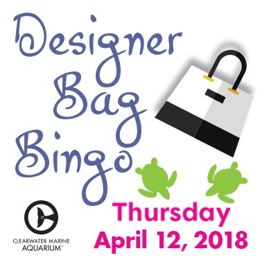 Designer Bag Bingo