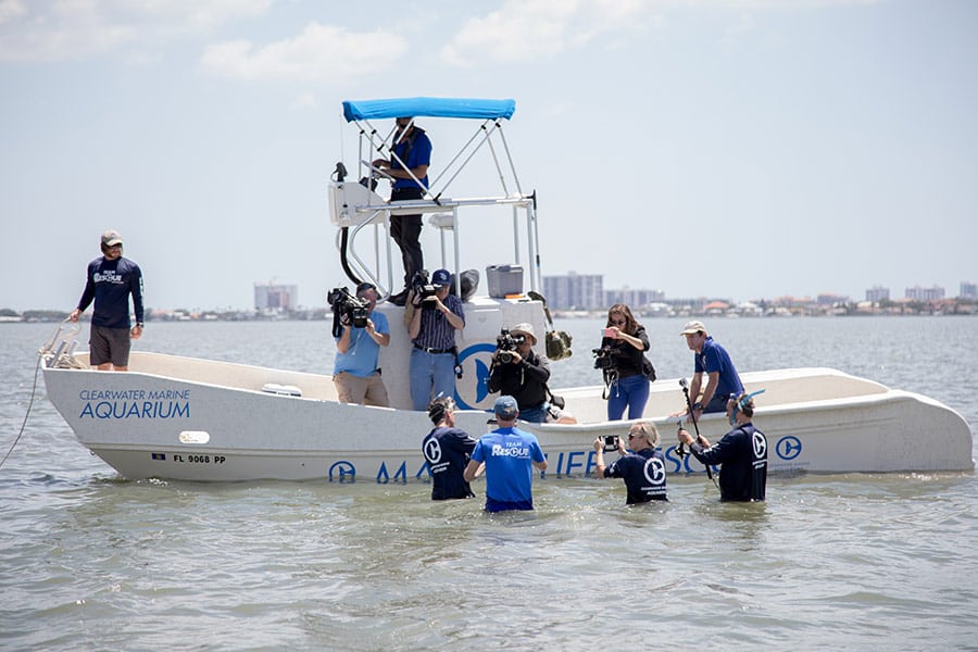 Clearwater Marine Aquarium rescue boat