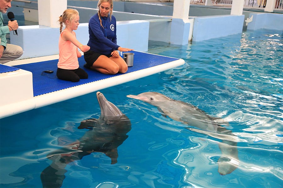 Quad amputee girl meeting Winter and Hope dolphins