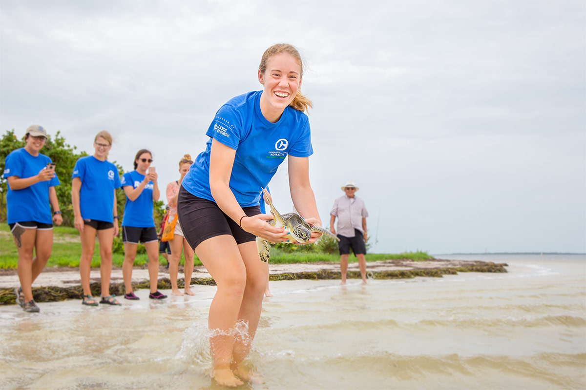 Pebbles sea turtle release