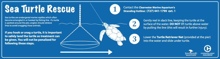 sea turtle rescue pier sign