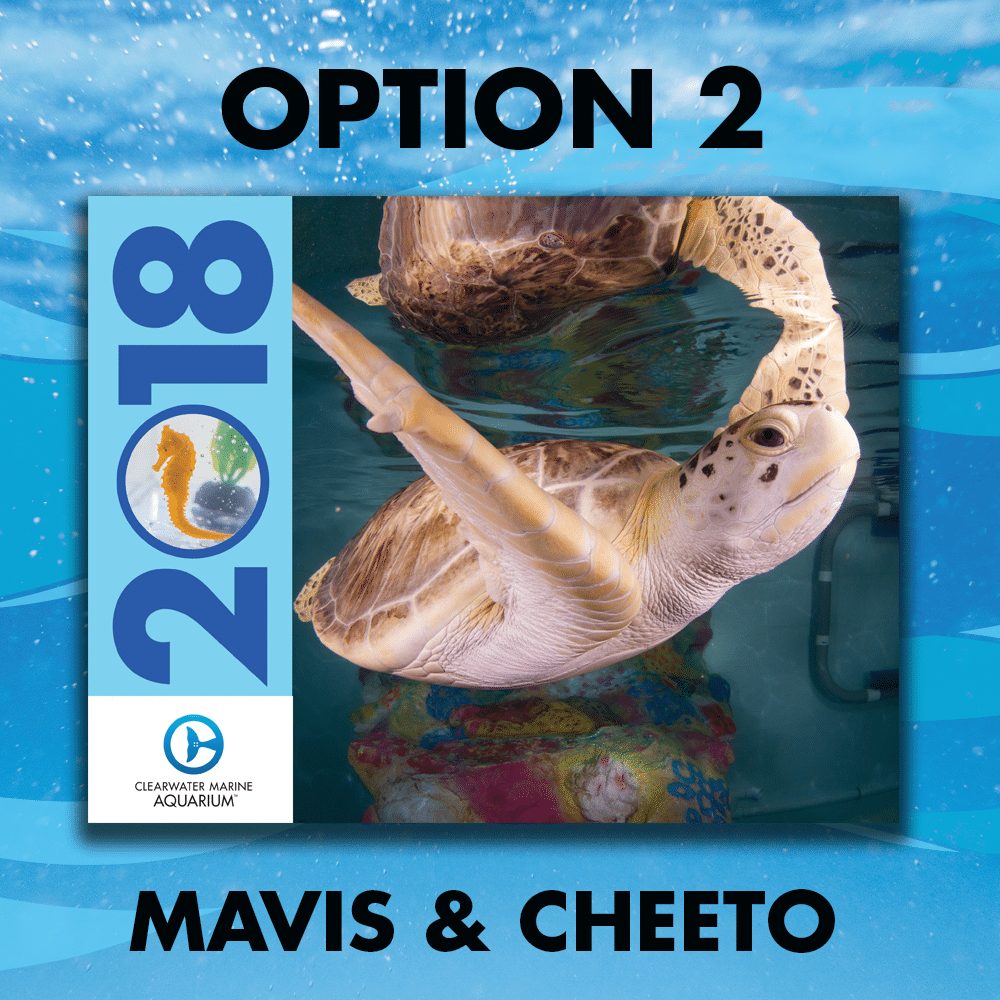 2018 Calendar Contest Clearwater Marine Aquarium