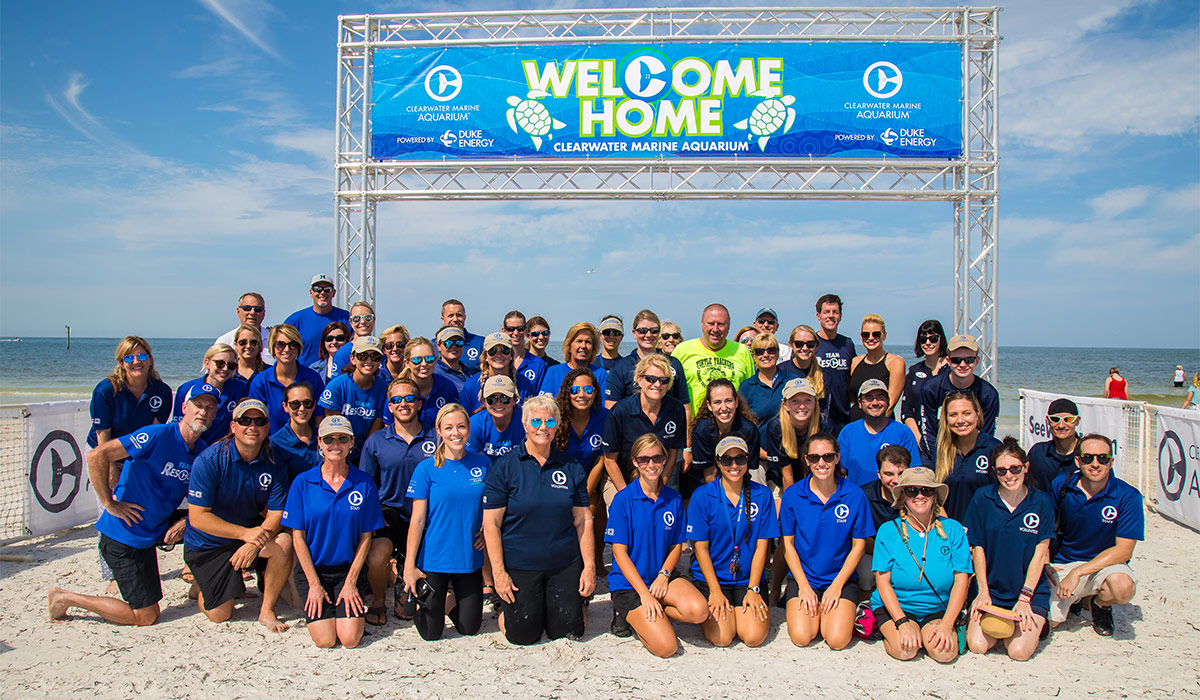 Clearwater Marine Aquarium team