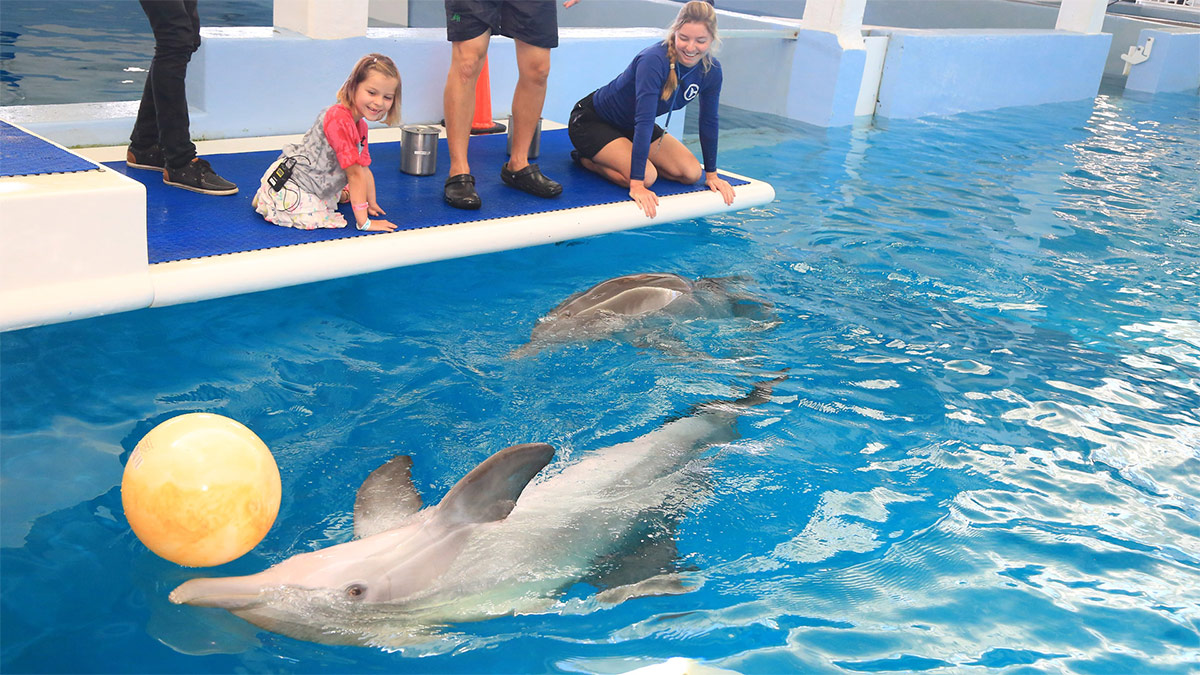 Layla Welch meeting dolphin heroes, winter and hope on platform