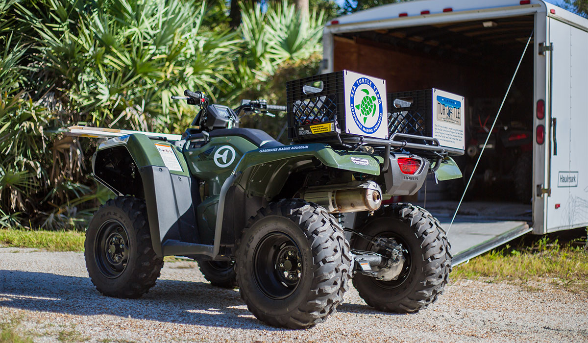 sea turtle patrol atv