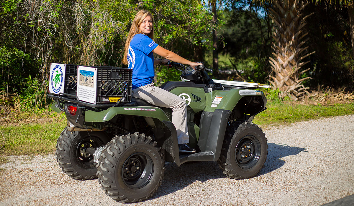 sea turtle patrol atv