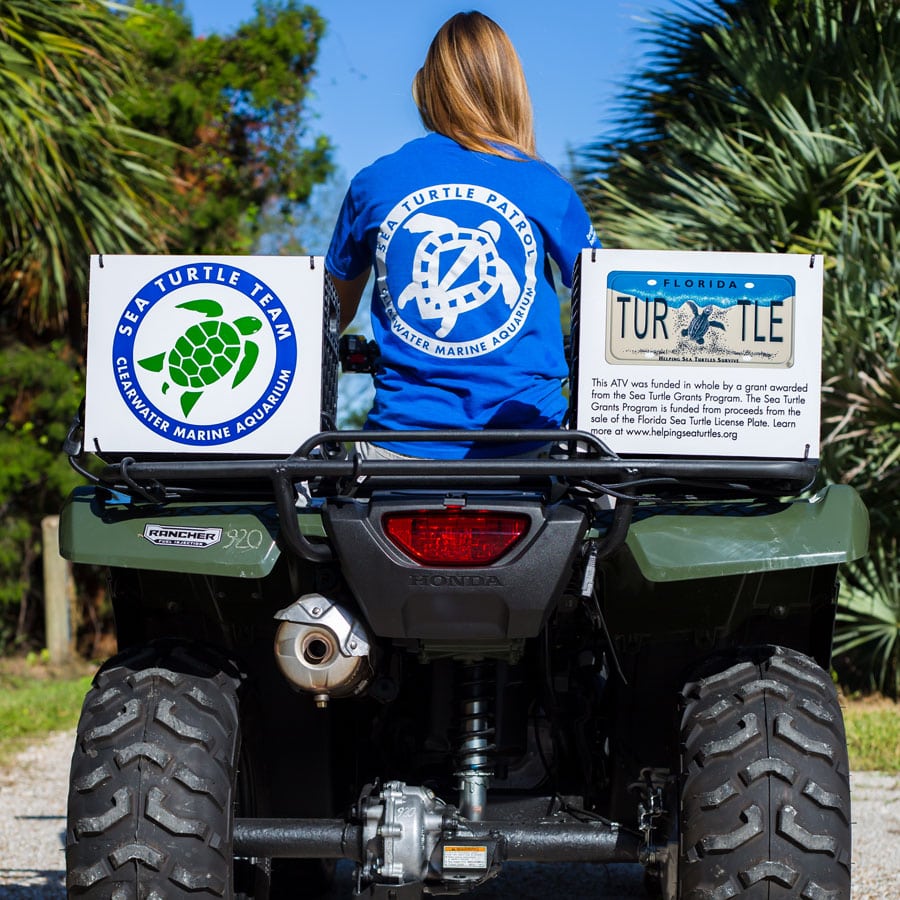 sea turtle patrol atv