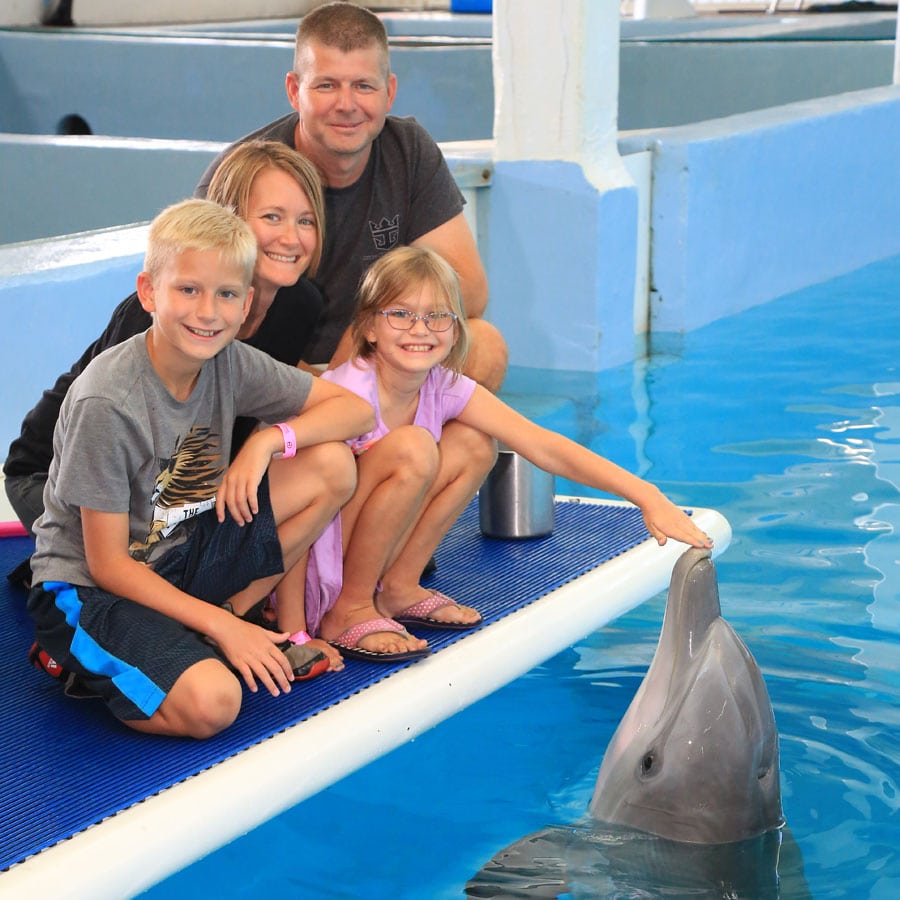 family posing for dolphin photo