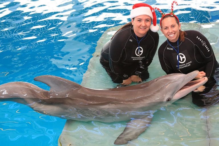 animal care specialists with winter for christmas