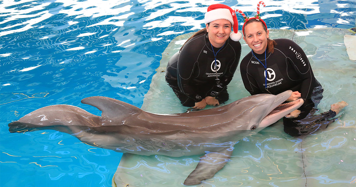 animal care specialists with winter for christmas