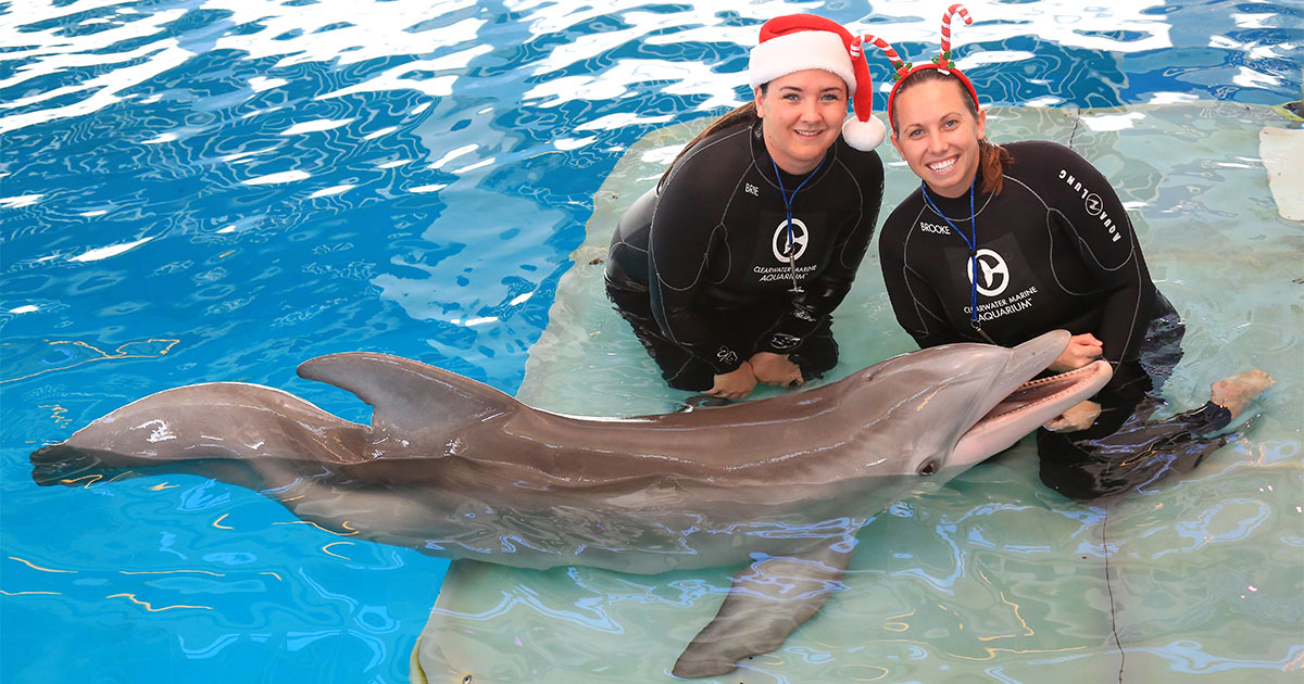 animal care specialists with winter for christmas