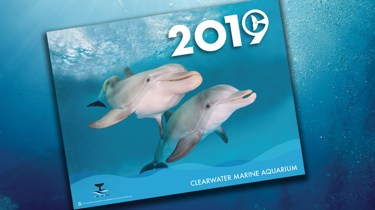 2019 calendar