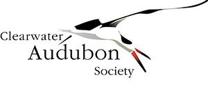 Clearwater Audobon logo