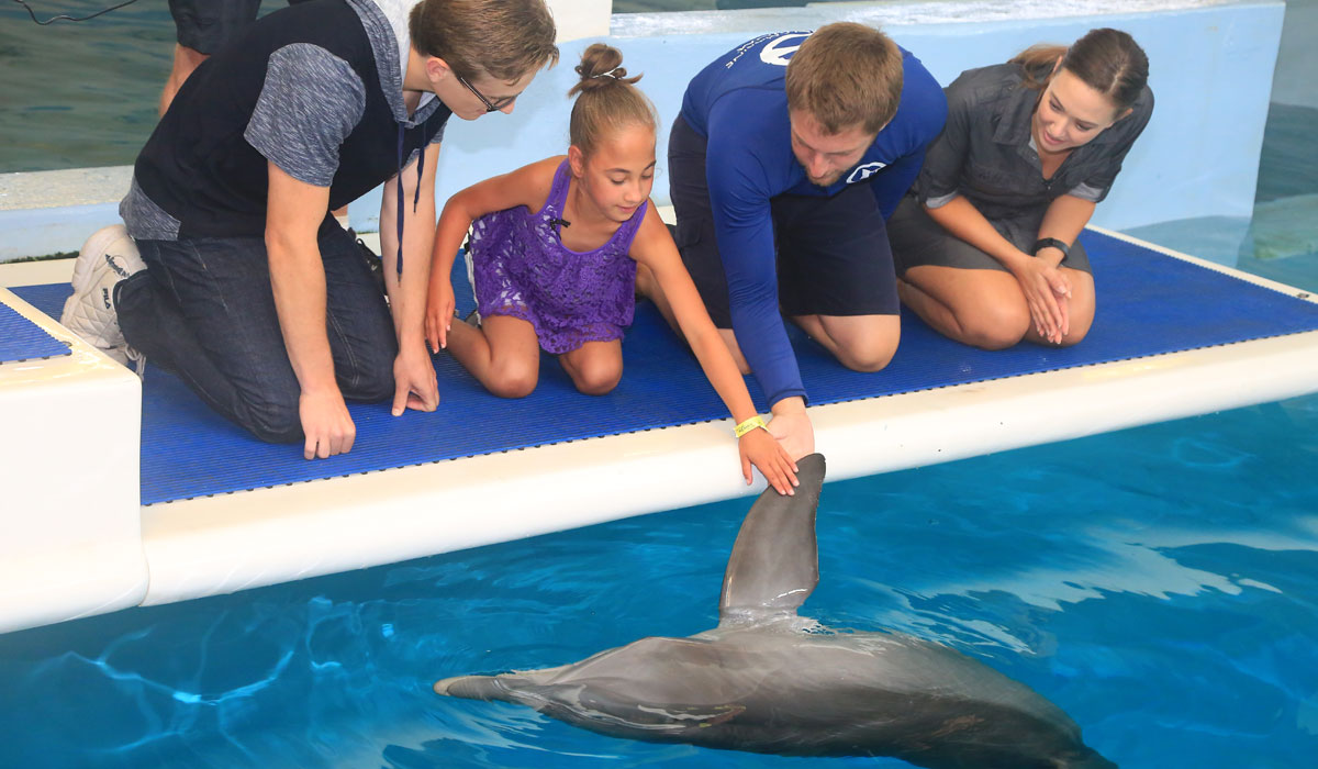 mayra meets dolphin tale actors