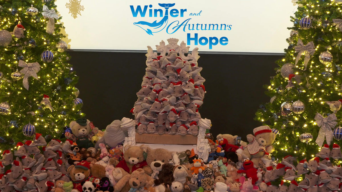 Winter and Autumn's Hope stuffed animal collection