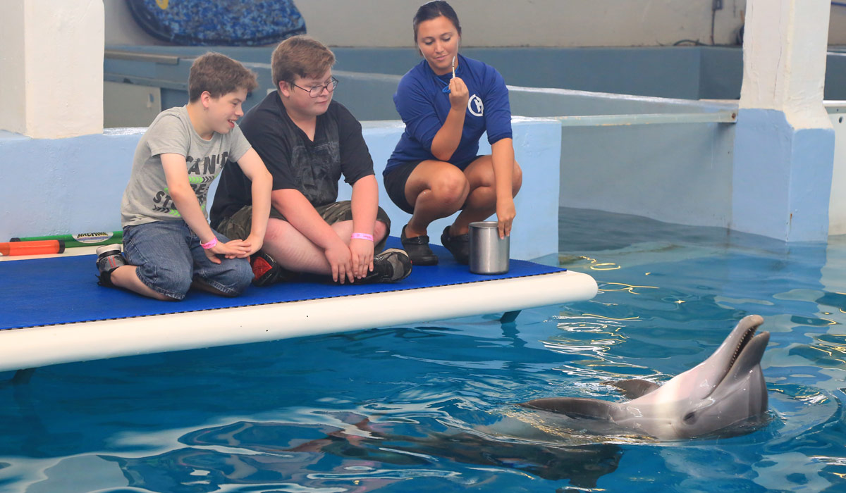 corbin and brayden delk with dolphin on platform