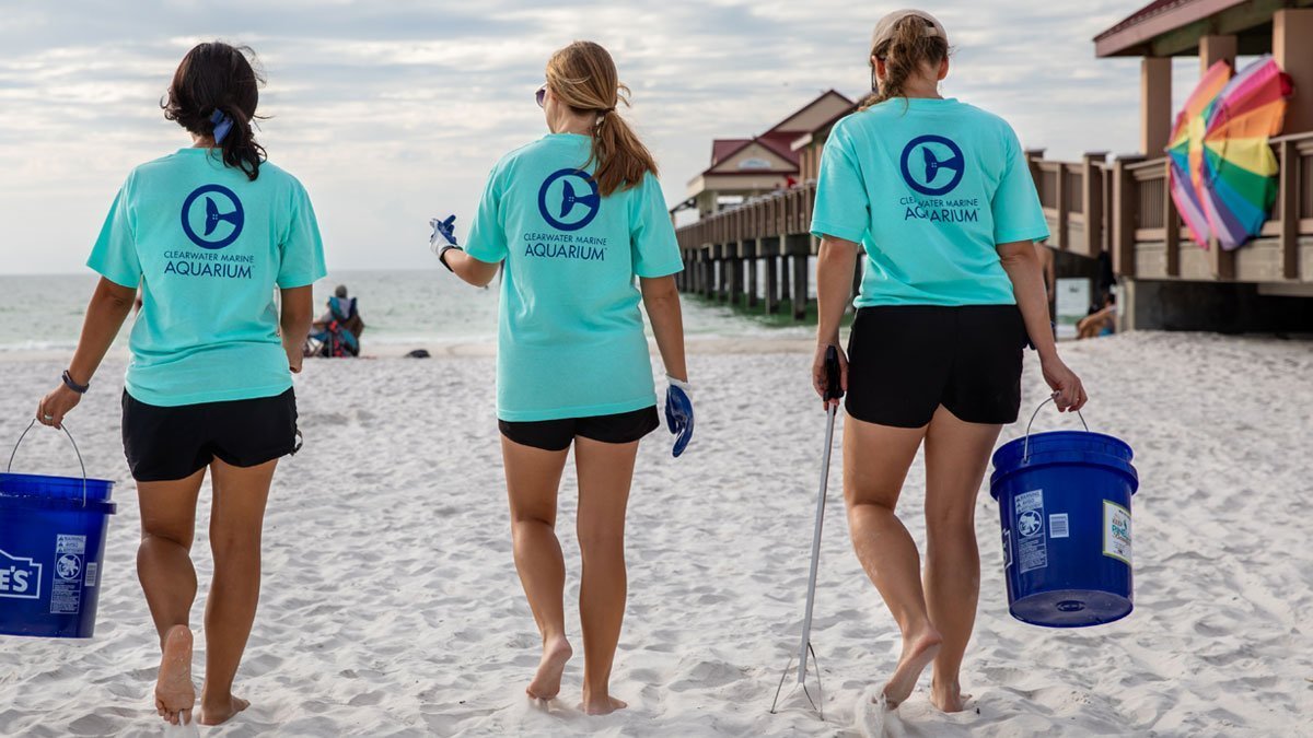 Ocean Allies Clearwater Beach Cleanup