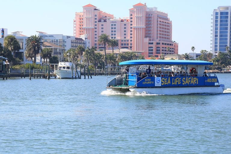 sea life safari boat