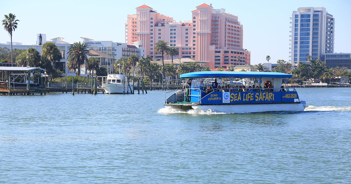 sea life safari boat