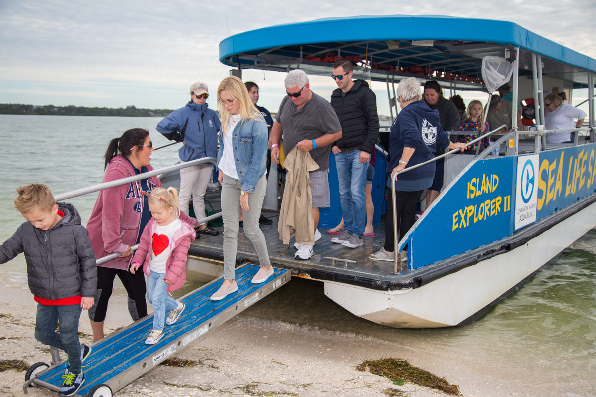 sea life safari on island