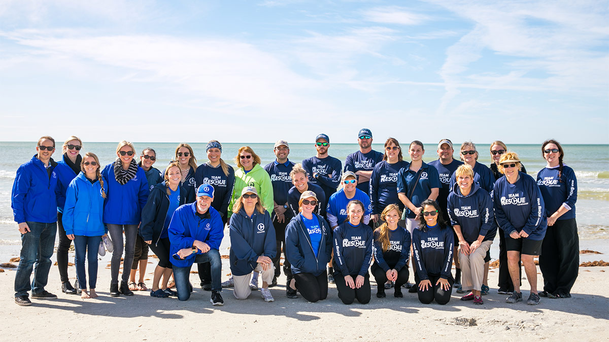 clearwater marine aquarium team staff and volunteers