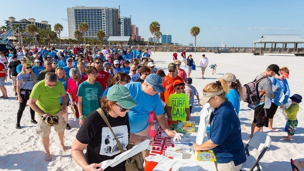 sea turtle awareness day at the beach