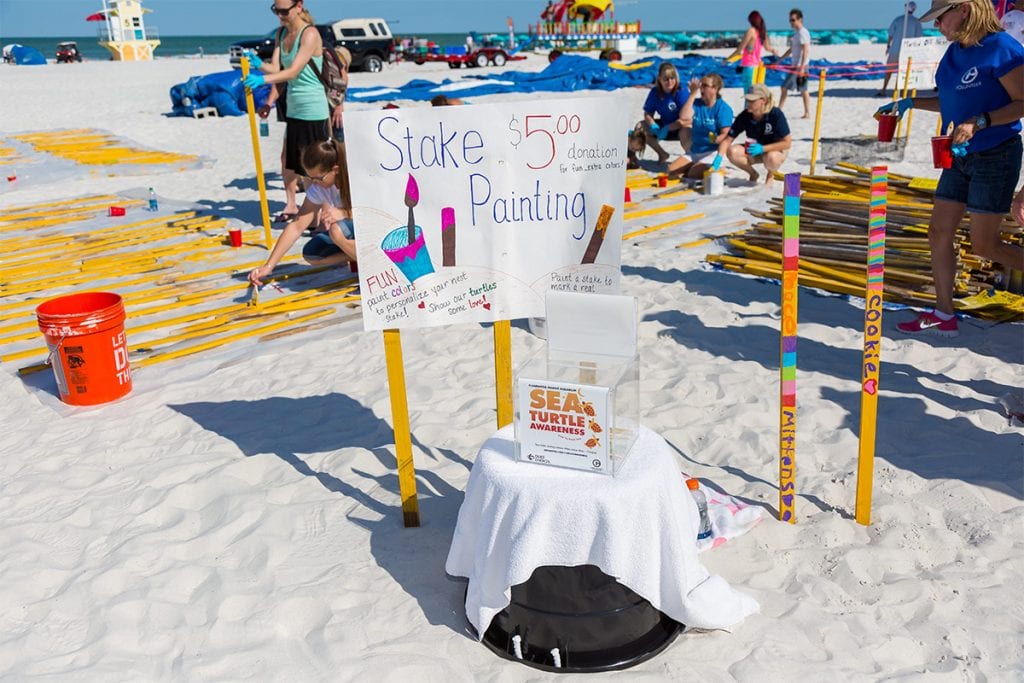sea turtle awareness day stake painting