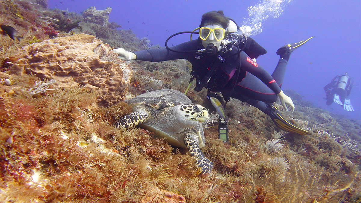 scuba diver with sea turtle underwater