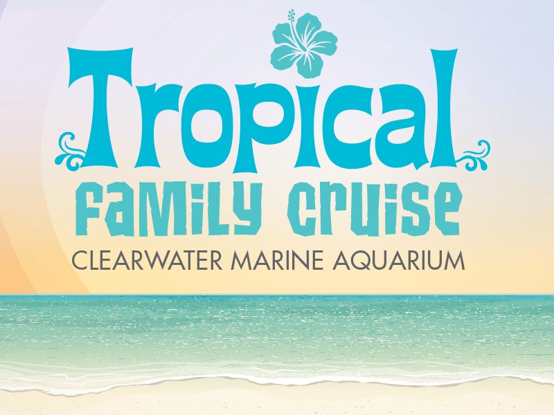 tropical family cruise