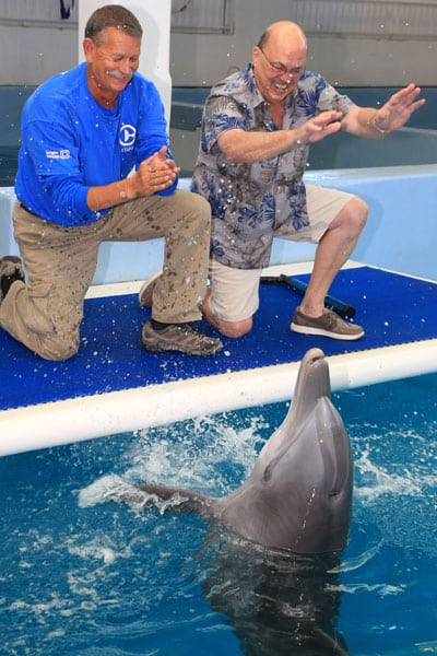 bill bushman meeting dolphin on platform