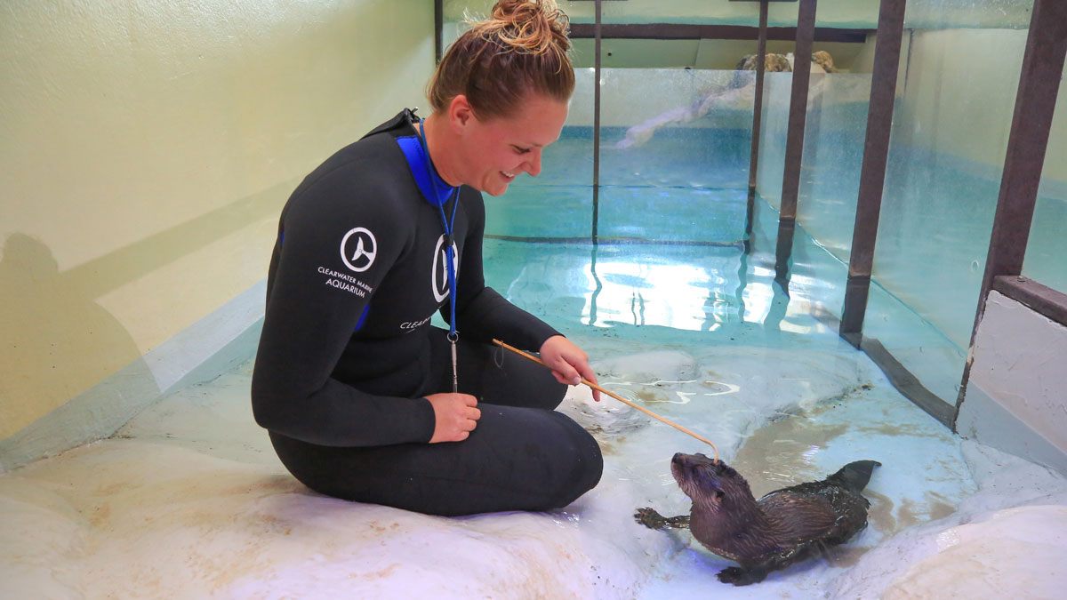 cooper otter enrichment