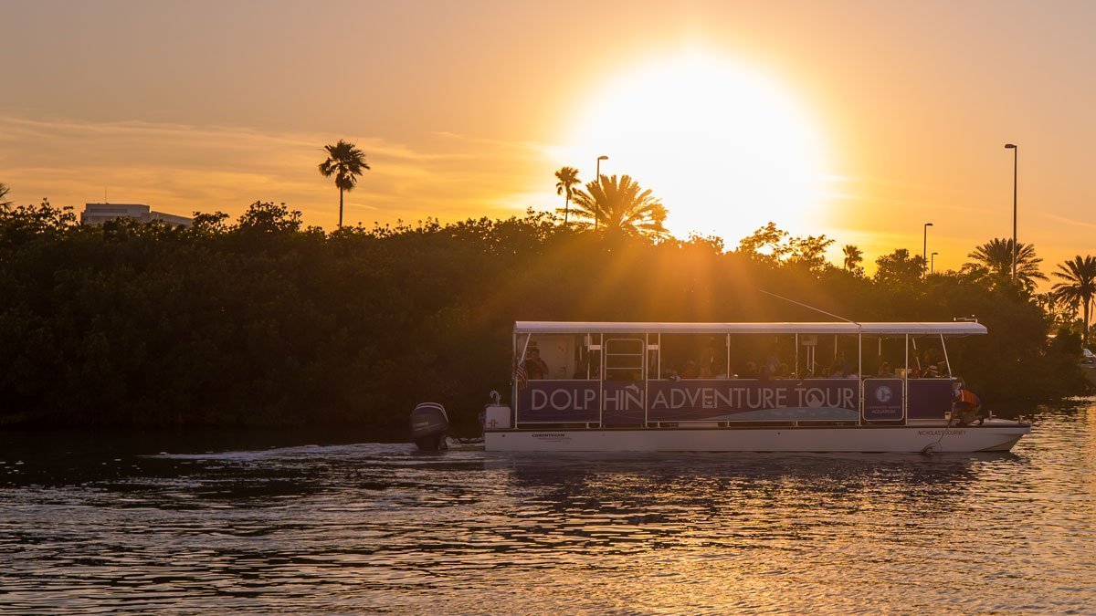 Tropical Family Cruise at sunset