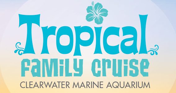 tropical family cruise