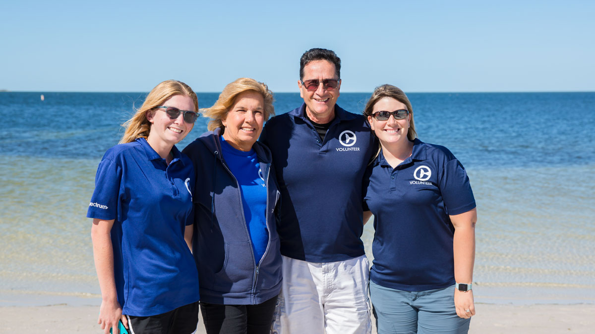 Three Sea Turtles Released at Fred Howard Park - Clearwater Marine Aquarium