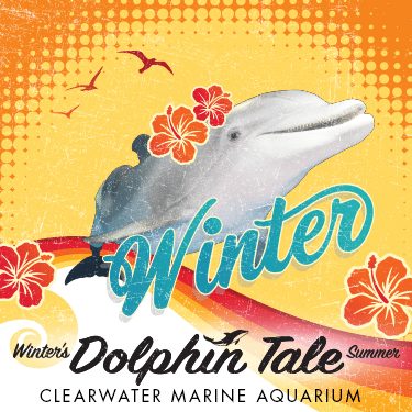 Winter's Dolphin Tale Summer