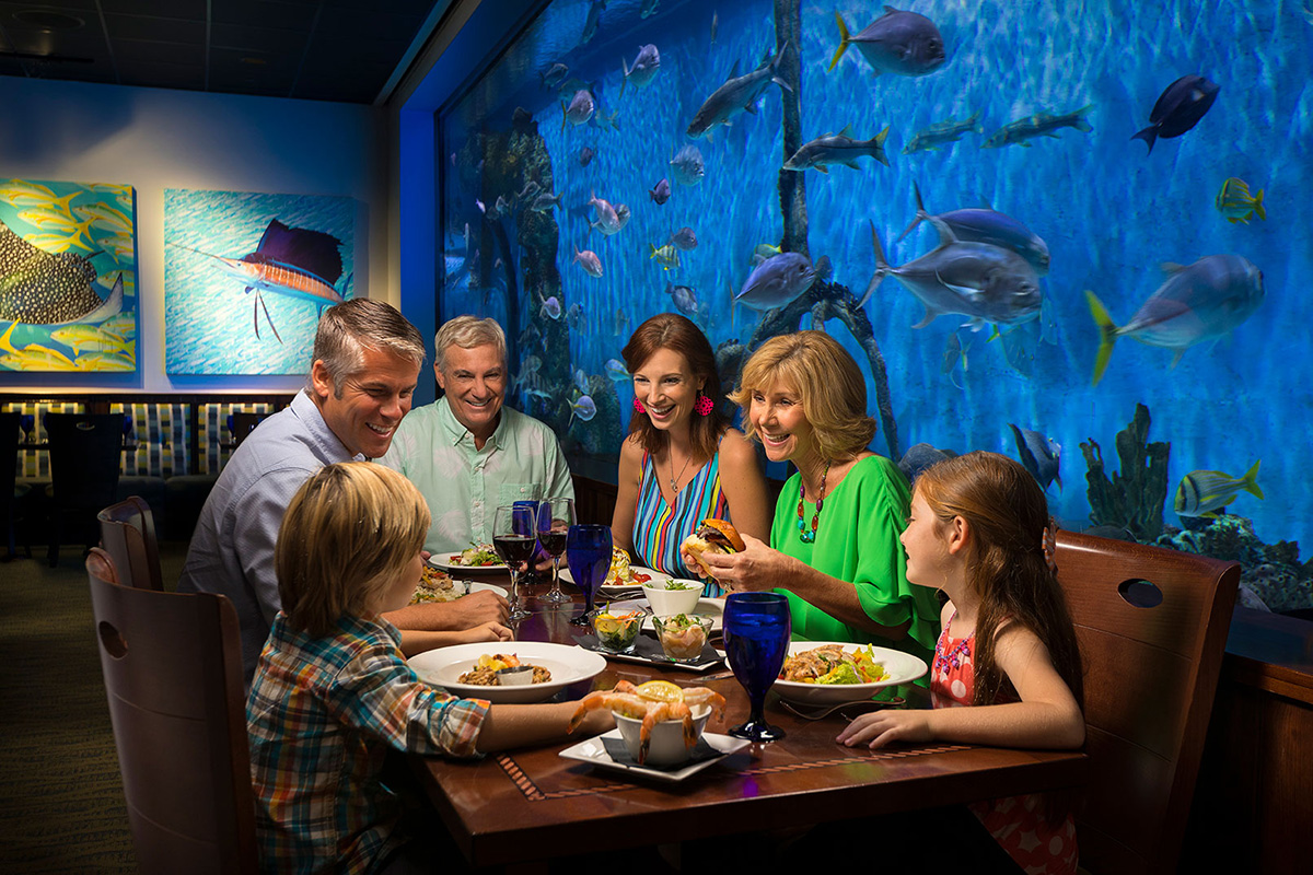 winter clearwater marine aquarium winter clearwater marine aquarium