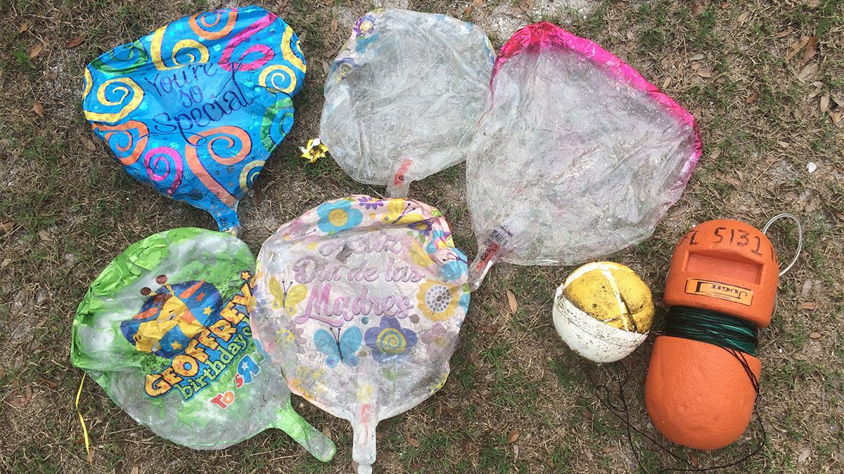 balloons and marine debris